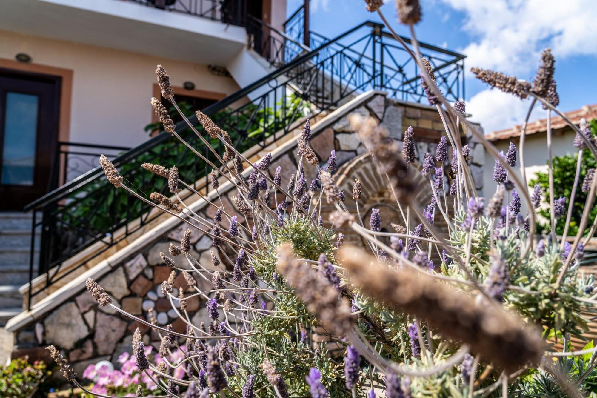 Koroni Family House With The Best View 84 Sqm 외부 사진